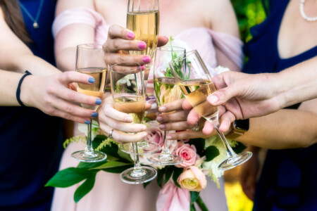 Wedding guests raising champagne glasses.